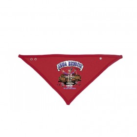 Babero-bandana "Amen, 30 aniversario"