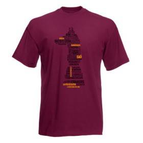 Camiseta granate chico "Cançons"